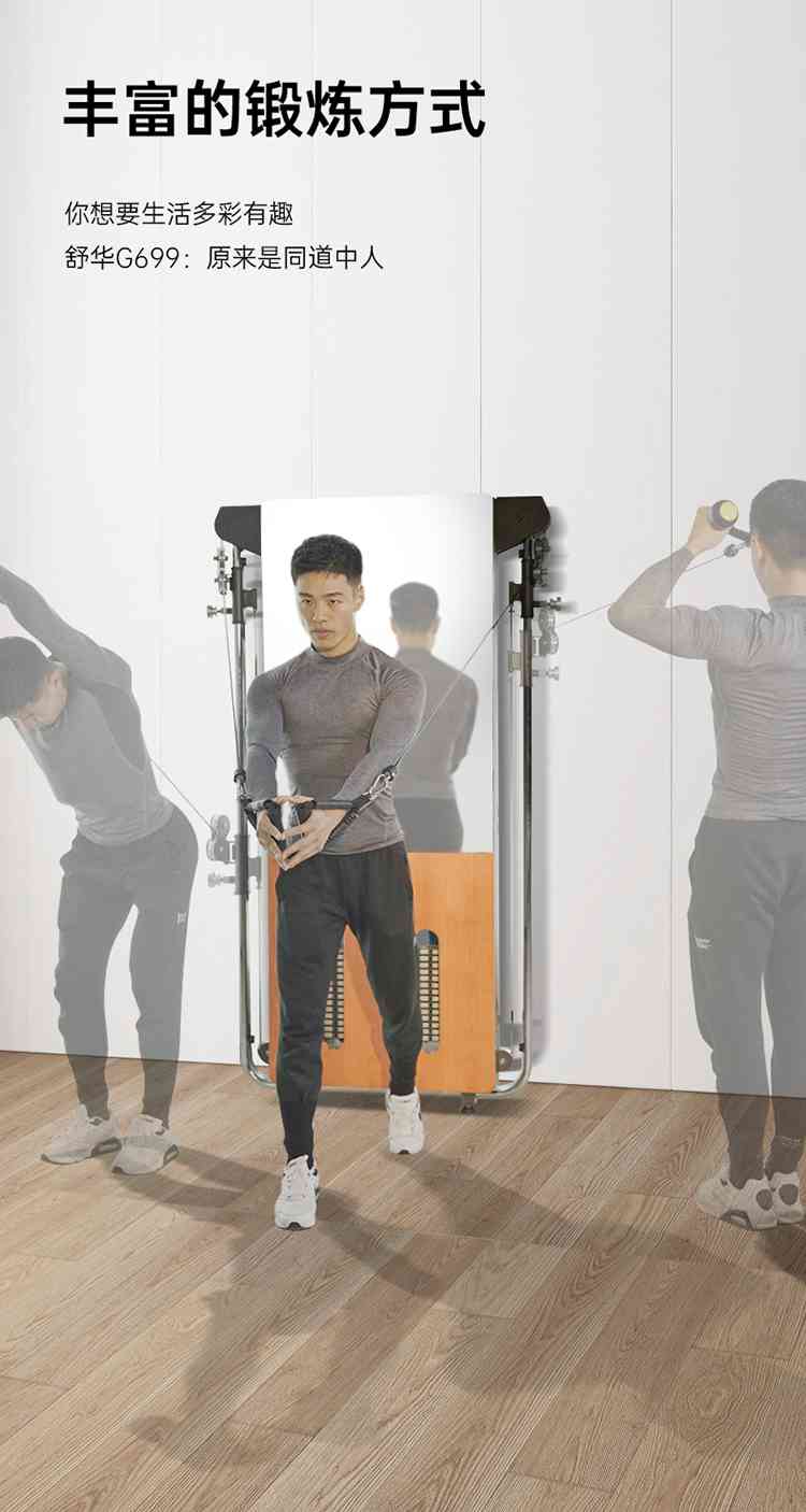 SH-G699 壁挂式拉绳训练器-广西leyu.乐鱼体育健身器材有限公司 SH-G699 壁挂式拉绳训练器-广西leyu.乐鱼体育健身器材有限公司